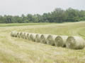 New hay bales
