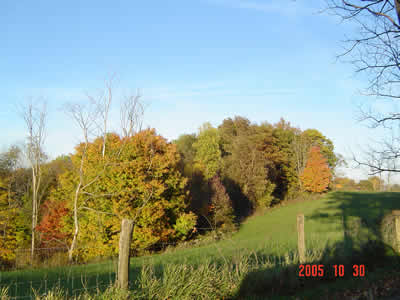 83