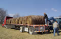 Loading Hay - Semi Truck