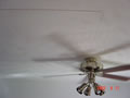 129 image