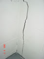 021 image