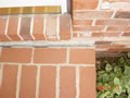 064 image