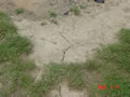 082 image