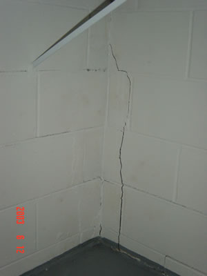 021 image