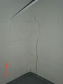 021 image