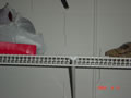 030 image