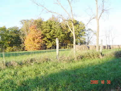 85
