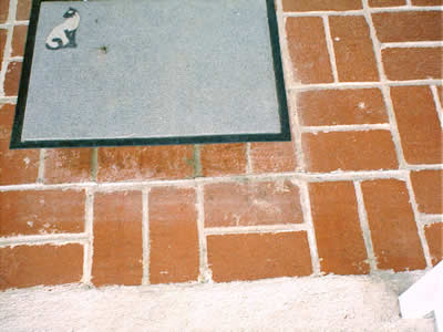 ADSC0021_8_08242001.